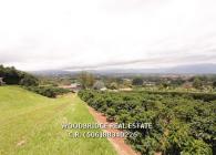 Costa Rica lots for sale in Heredia, Heredia CR lots for sale in San Isidro, land for sale Costa Rica Heredia, lots and terrains for sale Heredia Costa Rica, CR Heredia real estate lots for sale