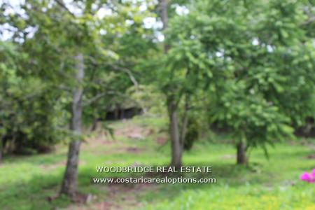 ESCAZU LOT FOR SALE, COSTA RICA LOTS FOR SALE ESCAZU, ESCAZU MLS LOTS FOR SALE, COSTA RICA REAL ESTATE LOTS SALE ESCAZU