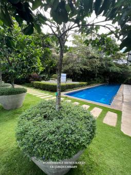 Escazu Distrito 4 apartments for rent or sale, CR Escazu apartments for rent in Distrito 4, CR Distrito 4 Escazu apartments for sale