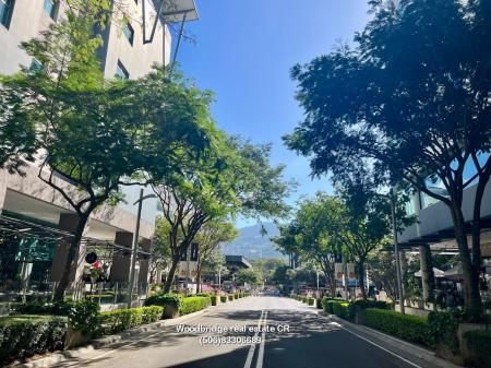 Avenida Escazú Costa Rica apartments for rent or sale, Escazú Avenida Escazú apartments for rent or sale