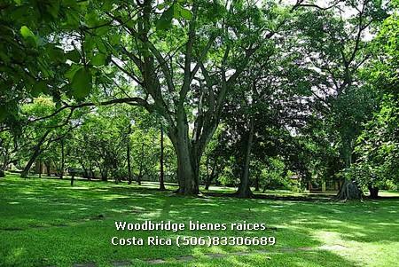 Costa Rica homes for sale Santa Ana|Bosques De Lindora, Homes for sale Bosques De Lindora Santa Ana, CR Santa Ana MLS homes for sale|Bosques De Lindora