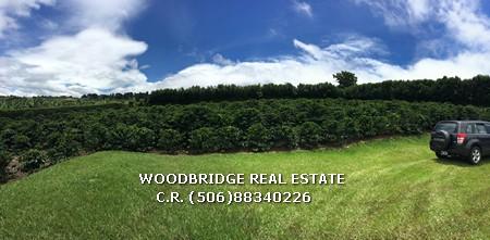 Costa Rica lots for sale in Heredia, Heredia CR lots for sale in San Isidro, land for sale Costa Rica Heredia, lots and terrains for sale Heredia Costa Rica, CR Heredia real estate lots for sale