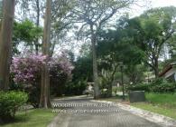 COSTA RICA ESCAZU LOTS FOR SALE, LOTS FOR SALE IN ESCAZU, ESCAZU MLS LOTS FOR SALE